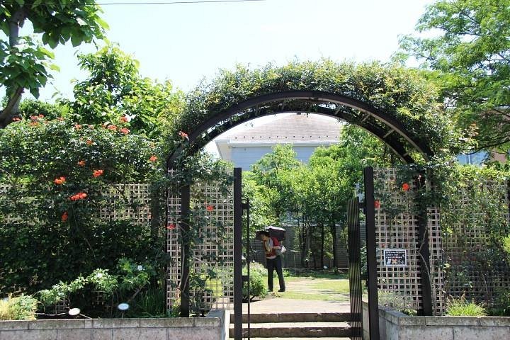 🌳 네무노키 정원(시나가와 구립 네무노키노니와) 이미지 1